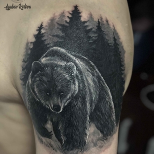 🔥 热门照片、模特作品集  #18272  