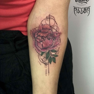 🔥 热门照片、模特作品集  #19114  