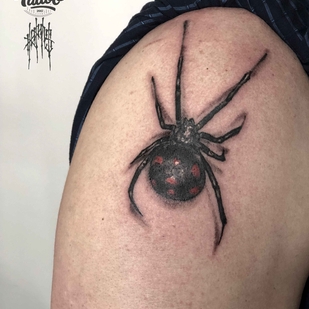 🔥 热门照片、模特作品集  #19130  