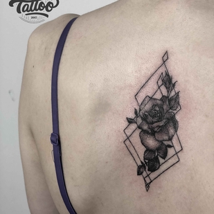 🔥 热门照片、模特作品集  #20229  