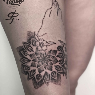 🔥 热门照片、模特作品集  #20254  