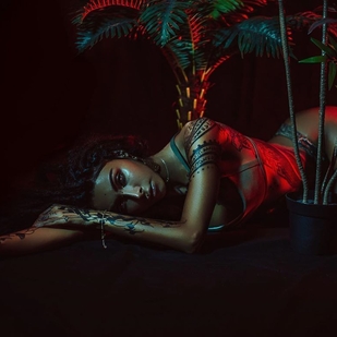 🔥 热门照片、模特作品集  #36240 纹身模特 The free elf