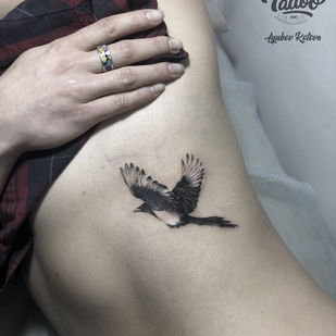 🔥 热门照片、模特作品集  #24860  