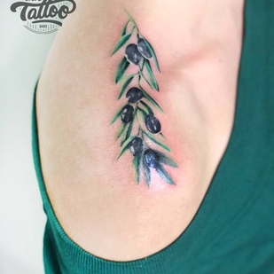 🔥 热门照片、模特作品集  #24869  