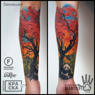 🔥 热门照片、模特作品集  #32554 纹身师 Vladimir PANTERA Korolev