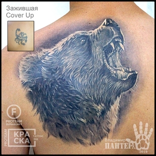 🔥 热门照片、模特作品集  #32567 纹身师 Vladimir PANTERA Korolev