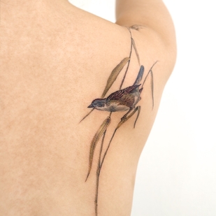 🔥 热门照片、模特作品集  #46199 纹身师 Abii tattoo