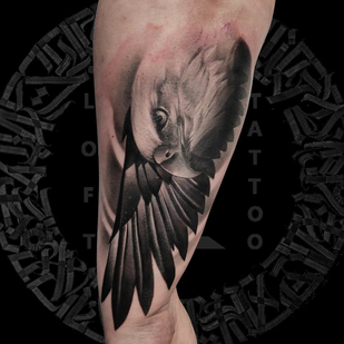 🔥 热门照片、模特作品集  #79486  