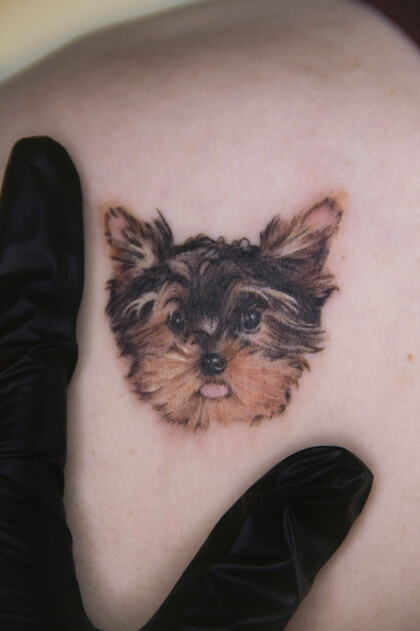 纹身灵感 # 纹身师 Dariya Zhukovskaya 