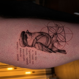 🔥 热门照片、模特作品集  #99902  