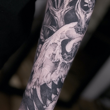 成人童话:与斯坦西拉瓦·萨里科娃一起探索图文 tattoo 的世界