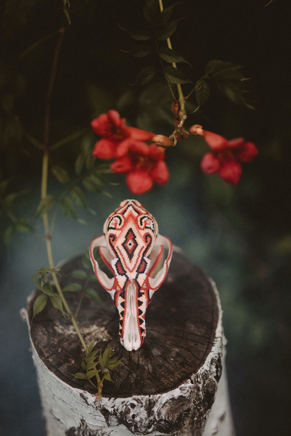 纹身：@hola_holson 头骨：@hola_holson 摄影：@pagan.poems 化妆：@kasiaj85